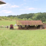 farma131